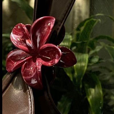 l2xn1's profile picture. إعلامية بجامعة الملك عبد العزيز / @FCM_KAU