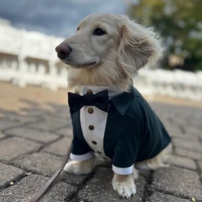 0xlemooon's profile picture. 🍋