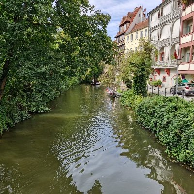 paperboatsinth1's profile picture. 