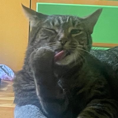 LeviNTheDream13's profile picture. 