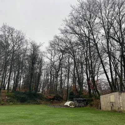 Andriy12345677's profile picture. 