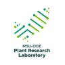 MSUDOEPlantLab's profile picture. Research institute at @michiganstateu funded by @doescience
Plant science driving innovation.