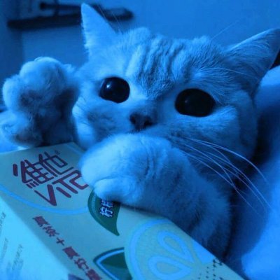 YYSX_2's profile picture. To be number one, You better be odd.