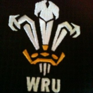 darynjenkins's profile picture. 