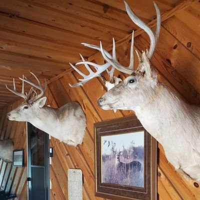 keithyo44819609's profile picture. 