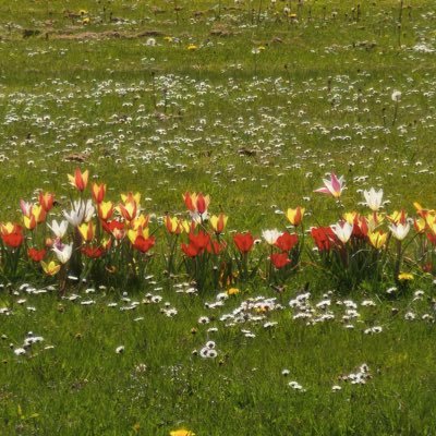 Carina552426101's profile picture. 