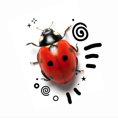 Ang0realn's profile picture. || 4teen || agender??? || any prns || gae🤯 || shtwt || #shewtwt ||
priv: @ABeabop14390
my wife🥰 - @starzlemons
https://t.co/9CFA3Lqa8I