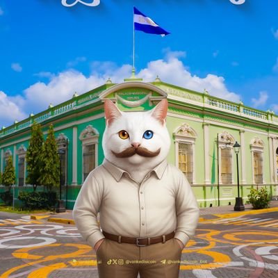 sparklers01's profile picture. VankedisiCoin to the moon 
Try and engage in the vankedisi