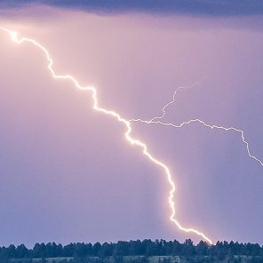 tojo8668's profile picture. 