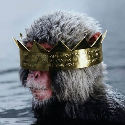 TrenchBabyJD's profile picture. TrenchBaby…