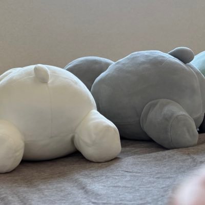 watainochisuki's profile picture. ぬいぐるみ全般（種類問わず）好きです。特にすき▶︎（まおぬ🥋すみっコとかげ&おかあさん🐟ぴよ系🐥🐧ブルーナうさぎ🐰ボリス🐻）