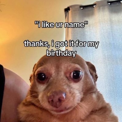 LivingLovingg's profile picture. lmao