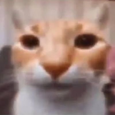 caf3ziin's profile picture. o próprio
..
//
..
oso baxista, (projeto de) streamer e altista nas horas vagas