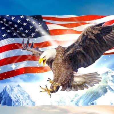 BP4America's profile picture. Conservative. Christian. Firm believer in 1A & 2A. America is worth fighting for.