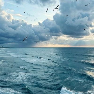 Basiaa_a's profile picture. Female 
🎂 2006