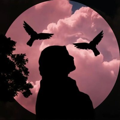 sn200251's profile picture. 