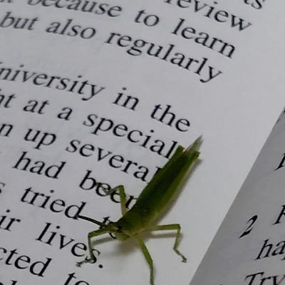 jin_dou25268's profile picture. 