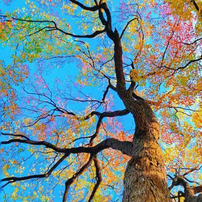 stone86521740's profile picture. 