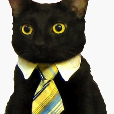 ElvisPromotion's profile picture. 