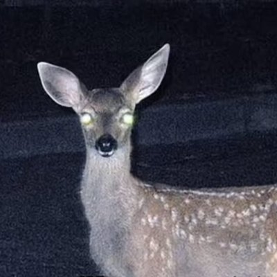 redrushglazer's profile picture. ooc account

Other accs: @eepysnek , @cinnamity