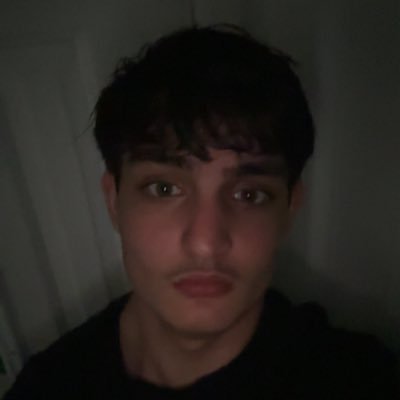 IbrahimlovesAI's profile picture. 16 Y/O | Building Apps with AI