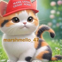 ましゅめろ(・×・)🐐 (@marshmello_47) 's Twitter Profile Photo