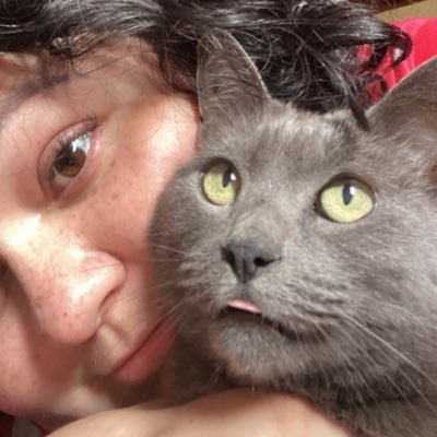 les4diss's profile picture. conta nova