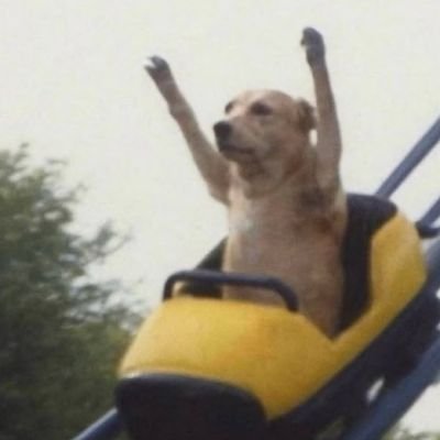 KingJibz's profile picture. @ManUtd🇾🇪 @MiamiHeat🏀 
        Teetering between enlightened and insanity🙃