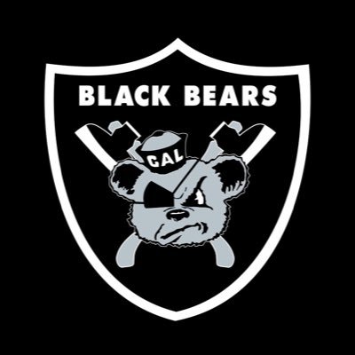 B_townie's profile picture. townie doing townie shenanigans. Go Bears!