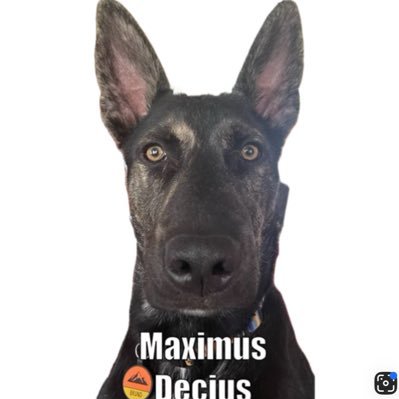 A89167Anna's profile picture. 