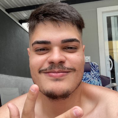 viniplacidino's profile picture.