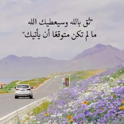 NNLLJMH's profile picture. 