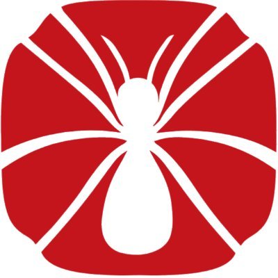 dwssecurity's profile picture. Empresa colombiana especializada en ciberseguridad ofensiva de APIs