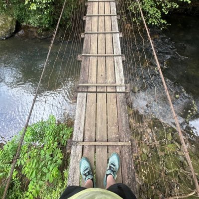 SipDatSip's profile picture. 