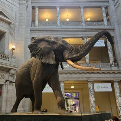 rajasekarann29's profile picture. IT Software Engineer, Movie & Cricket enthusiast