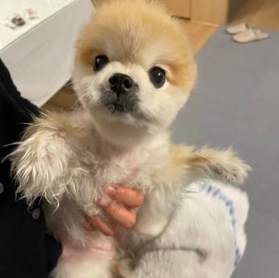 RemediosMa77373's profile picture. 