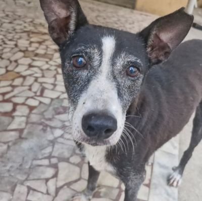 Potman_1776's profile picture. 