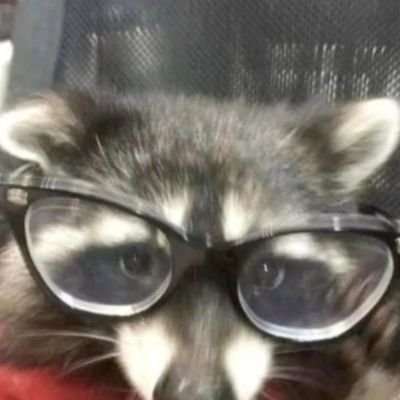 franko124545's profile picture. 