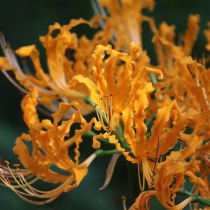 n_paitsu081man's profile picture. 凍結🧊一回。回避垢です。
まだ夜のお店(マッサージ、お風呂屋等…)いったことがありません。
夜で活躍するお姫様に幸あれ！
※適当に呟こうと思います。よろしく。