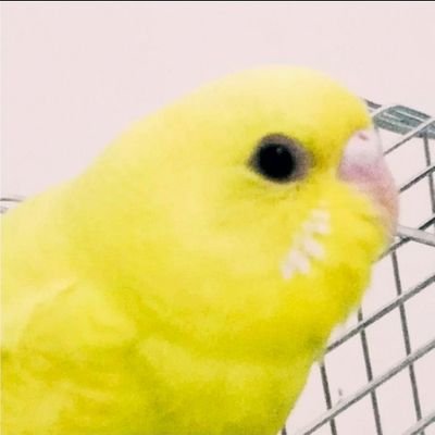 Amy_N_Friends's profile picture. I'm Amy, a Sethos fan and a friend of these Sethos fan artists: NieP, Ka3maRi & 杳见Yaojian. I created this space to share their creations.