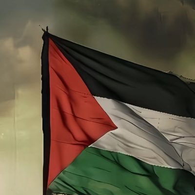 torktorkq's profile picture. 