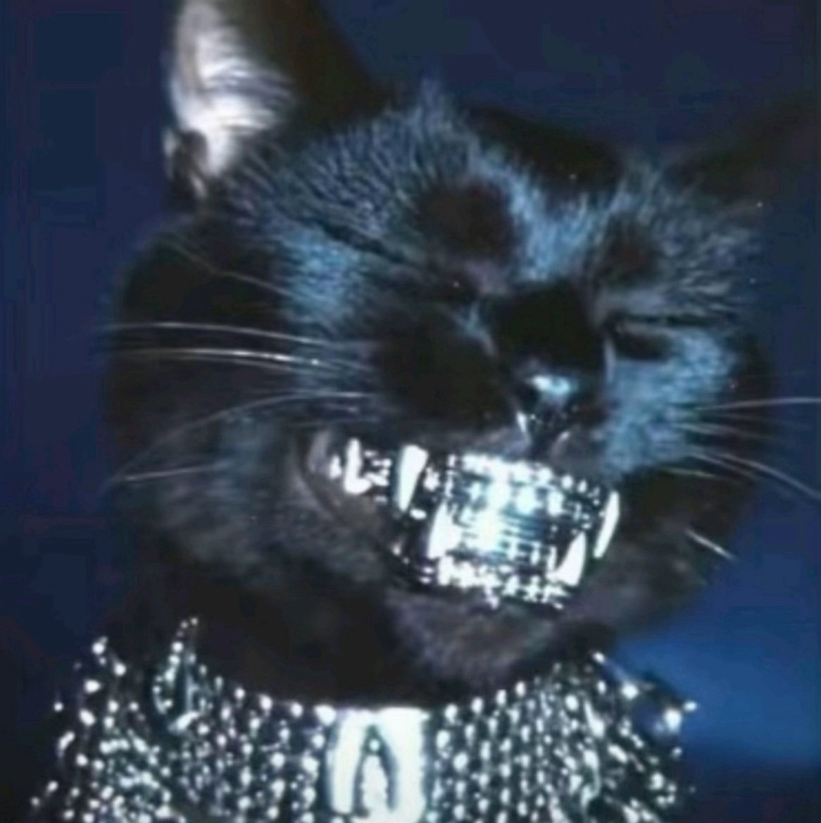 MeanCareful's profile picture. Running on caffeine and bad decisions.