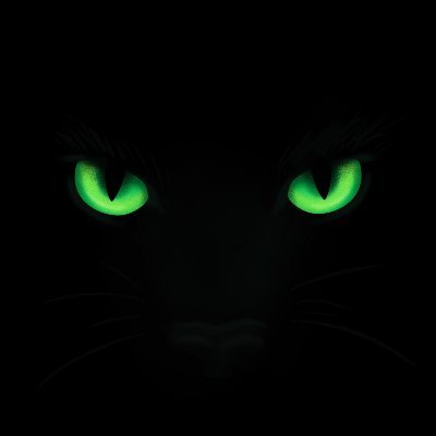 PantherXIO's profile picture. No custody crypto exchange