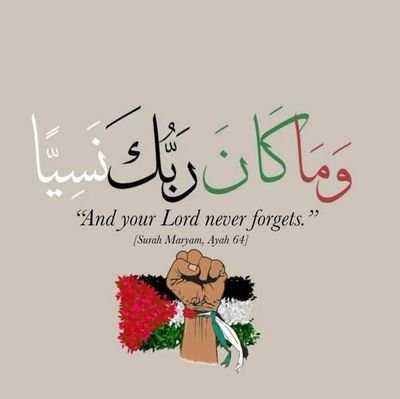 wajih41679's profile picture. 