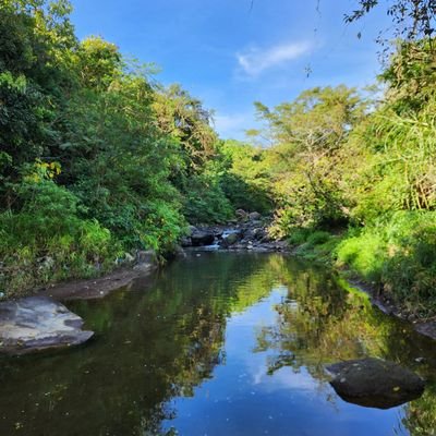 faishal_aswin's profile picture. Eudaimonia, every day is a perfect day🌞🌕