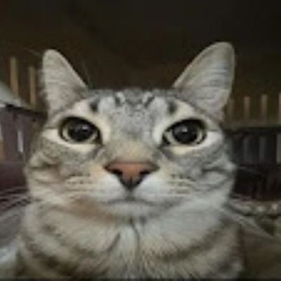 indomie4lyfer's profile picture. u dont know me ✌️
colonel caleb 🤤