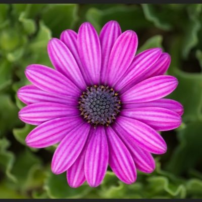 kathy_w_33's profile picture. 