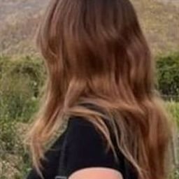 Ocarar144740's profile picture. 