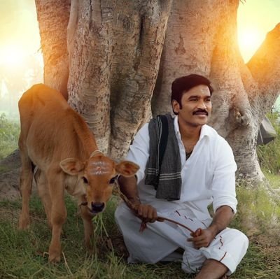 Sowmi_zenz's profile picture. 