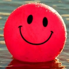 Haruna248976's profile picture. 週末起業家。SNSで収益化達成。再現性のある情報発信中。